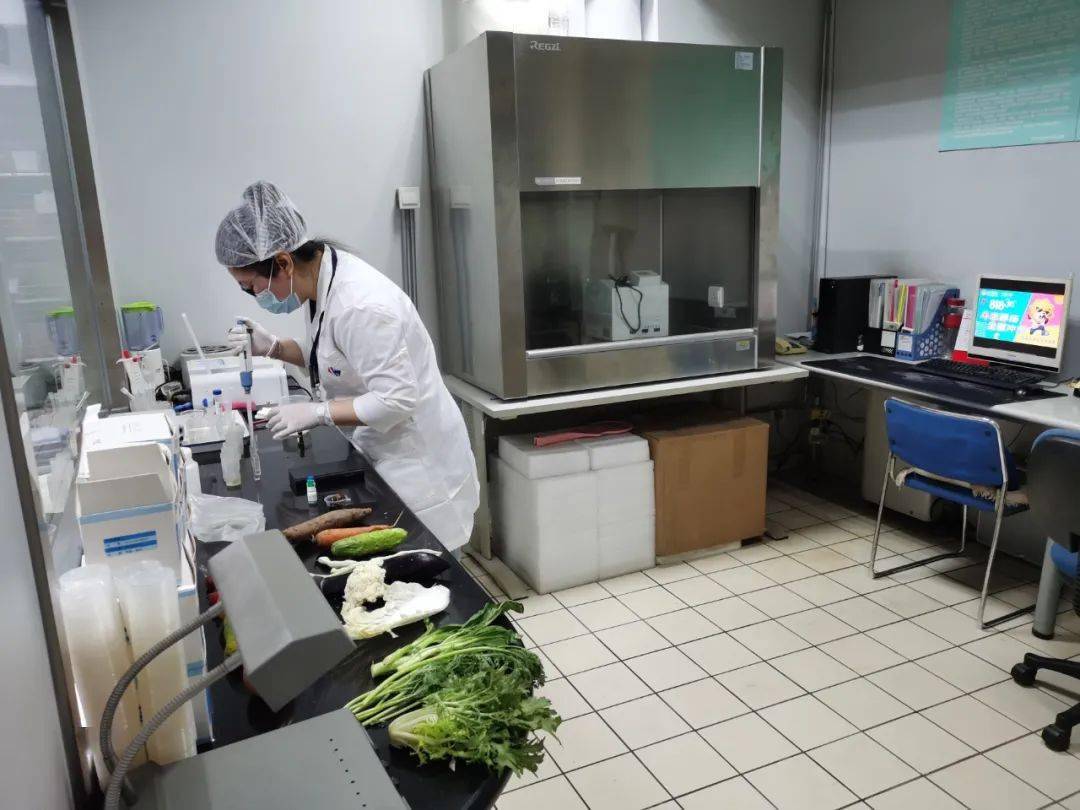 恩阳食品检测实验室装修方案